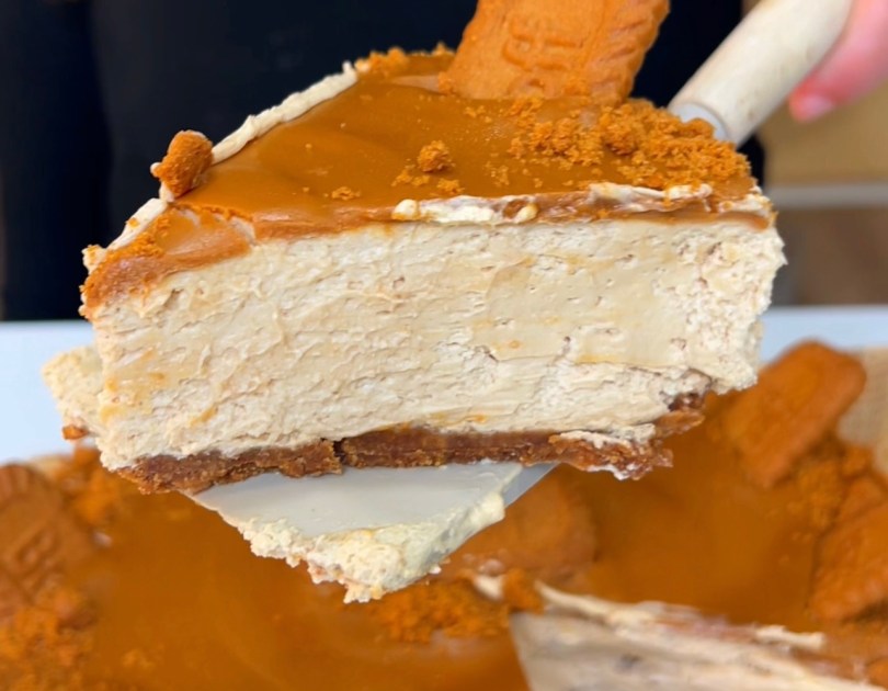 Lotus Biscoff No Bake Cheesecake Slice