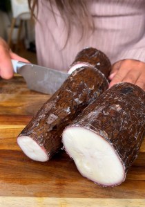 fresh yuca, cassava root, yucca, manioca, 